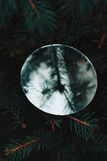 Close-up of mirror on christmas tree