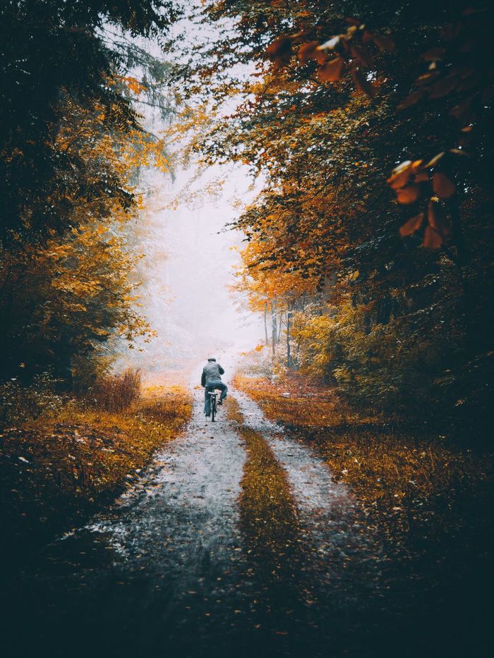 Rear view of man on bicycle in an autumn day