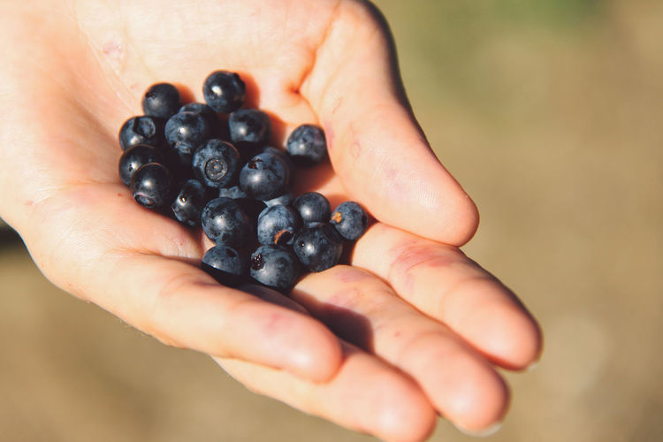 Cropped image of woman holding blueberry fruits
