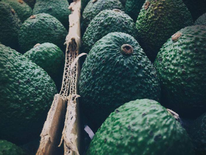 Close-up of avocados