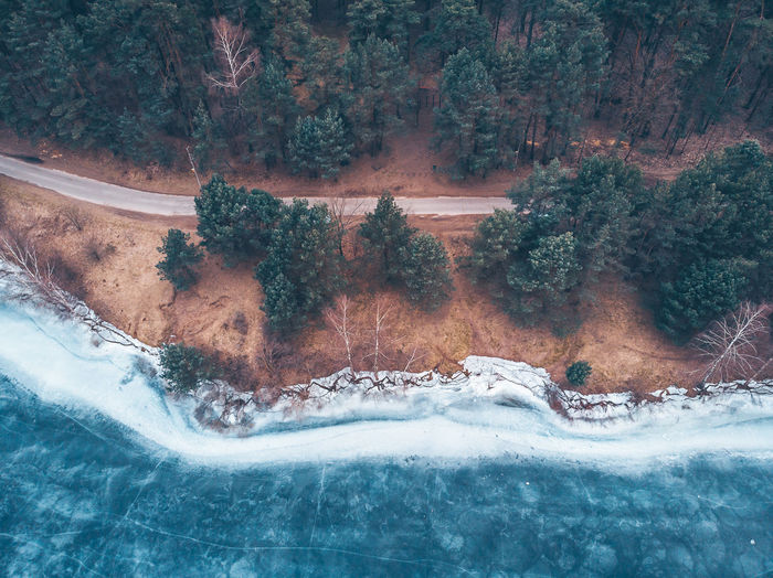 High angle view of trees and frozen sea