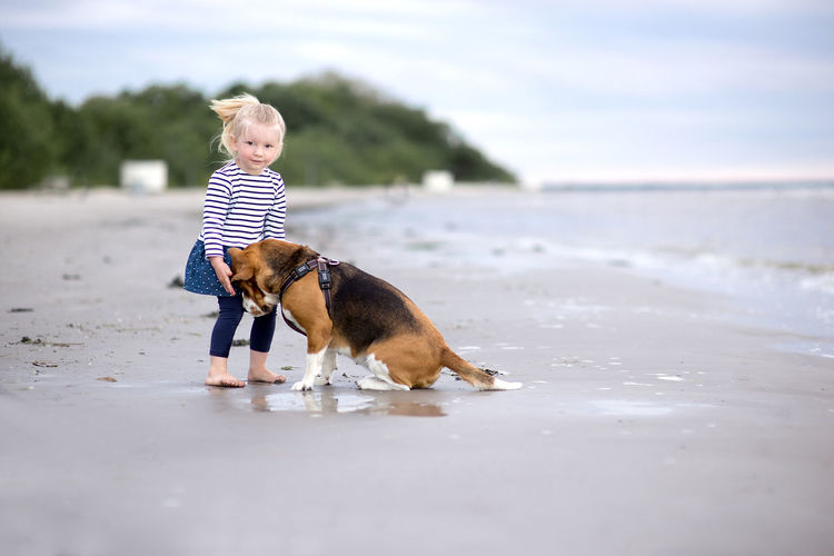 Girl and beagle on shore at beach