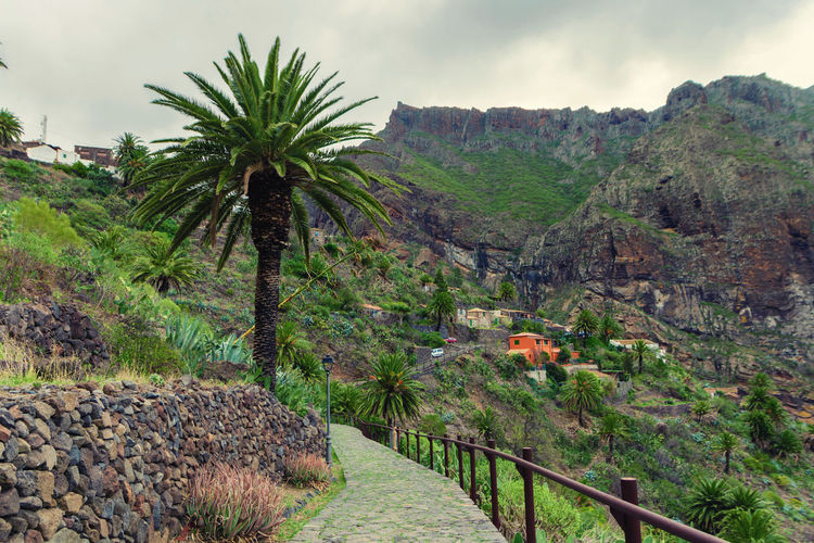 Masca village, the most visited tourist attraction of tenerife, spain