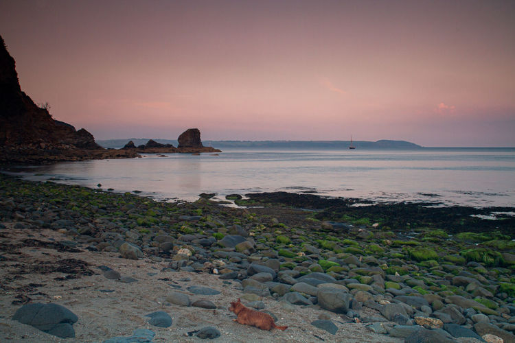 Sunset on the beautiful duporth private beach on the south coast of cornwall. 