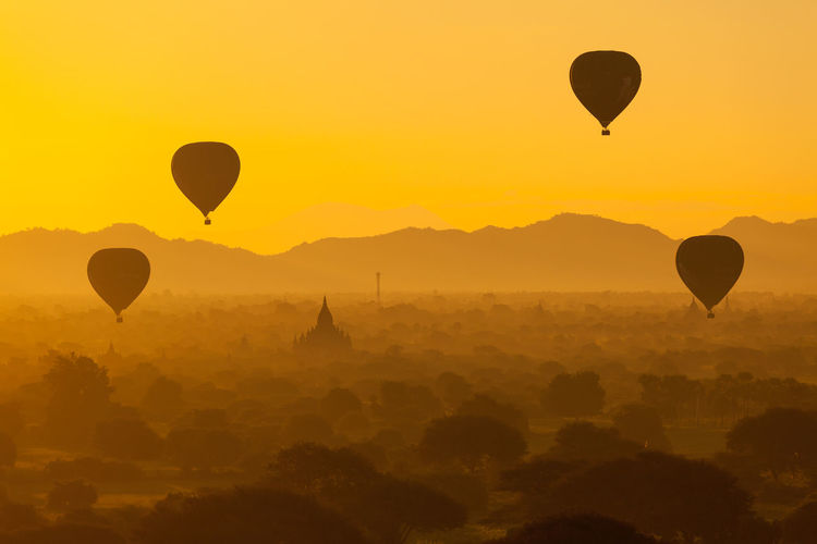 Hot air balloons in sky at sunset