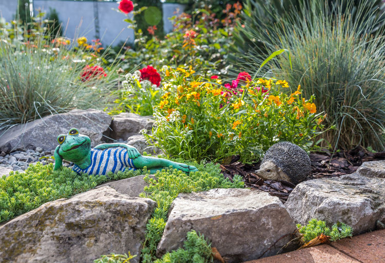 View of flowering plants in garden