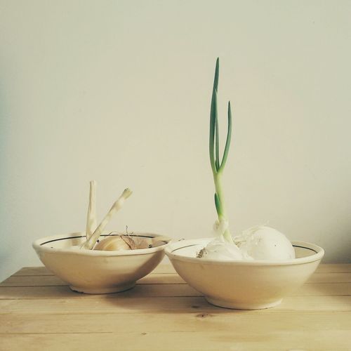 Close-up of garlic and onions in bowl on table against wall