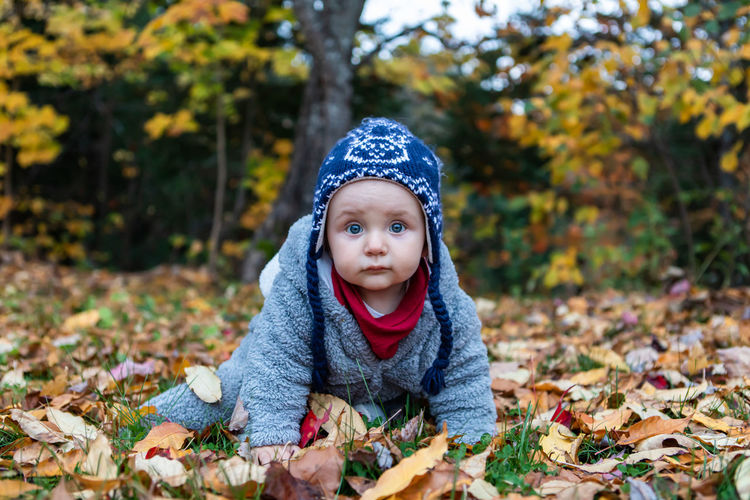 Portrait of cute girl in autumn leaves