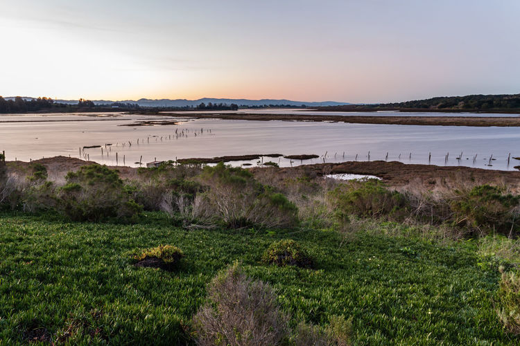 Scenic view of flooded landscape