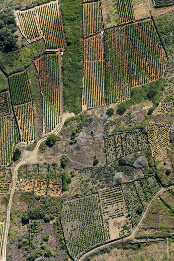 Aerial view of the farms in hvar island, croatia