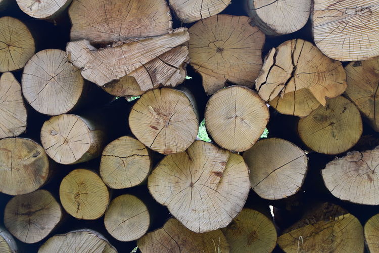 Full frame shot of logs in forest