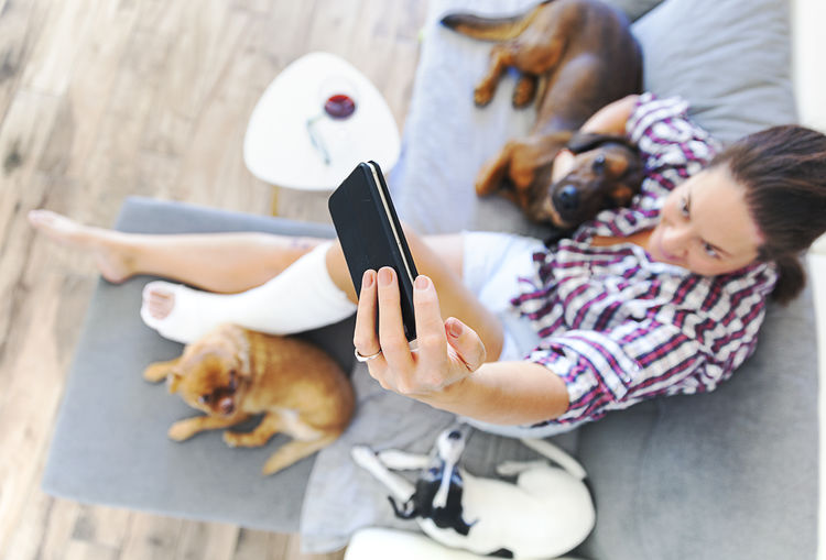 High angle view of woman taking selfie with dogs on sofa at home
