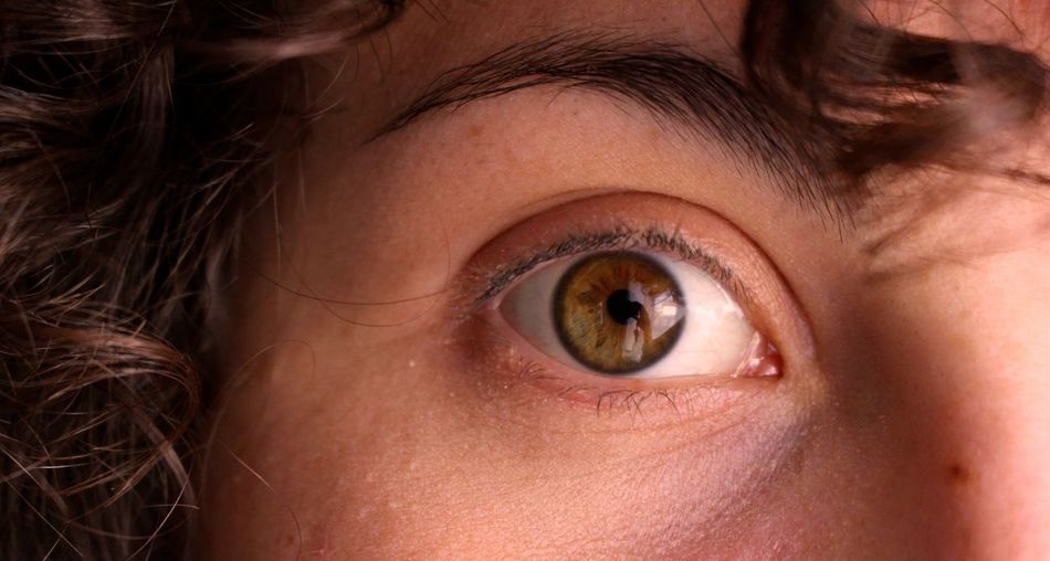 Cropped portrait of woman with brown eye