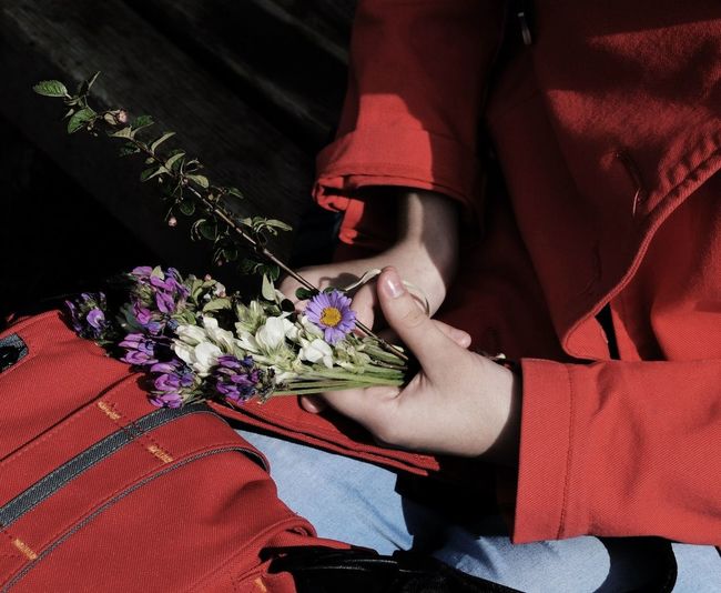 Close-up of woman holding red flowers