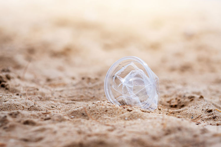 Close-up of plastic glass on beach
