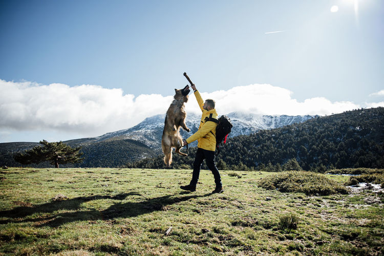 Young man with yellow jacket and backpack plays with german shepherd dog in the mountains.