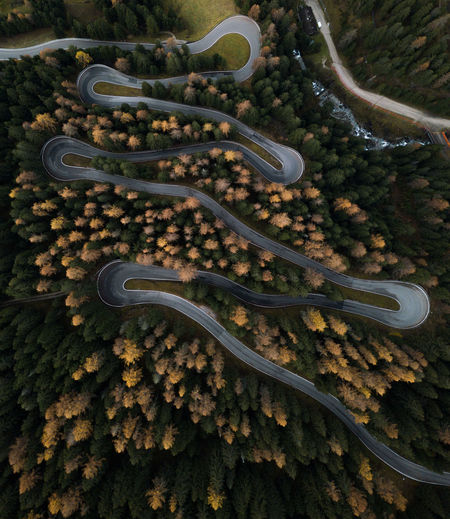 Aerial view of winding road and trees at forest during autumn