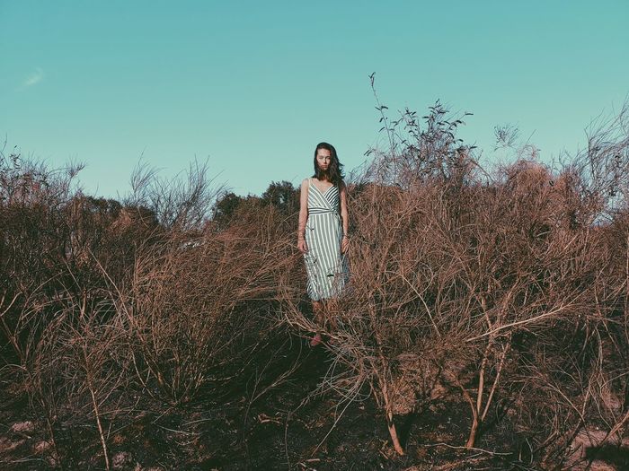 Woman standing amidst dead plants on field against clear sky