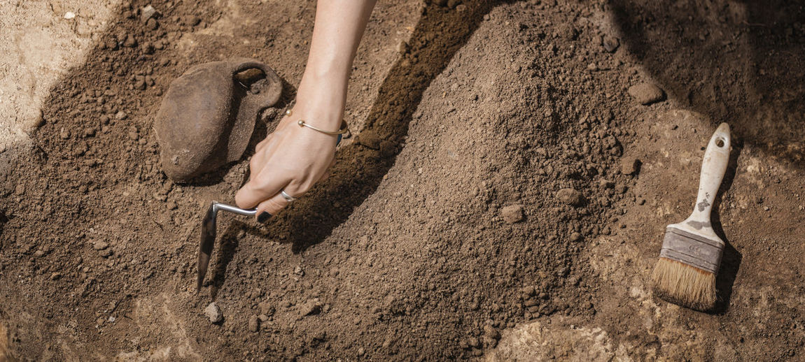 Cropped hand of woman digging ground