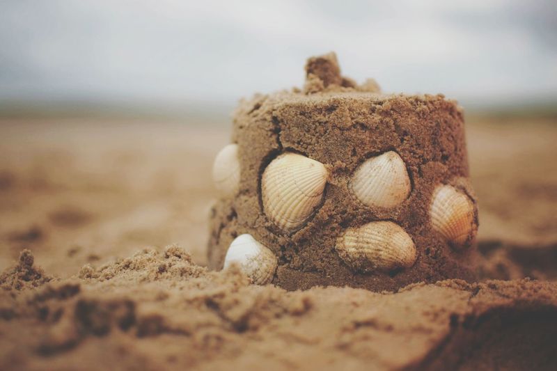 Sandcastle on a beach covered in shells 