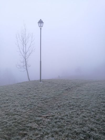 Scenic view of a lamp against fog during winter
