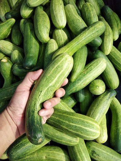 Close-up of hand holding cucumber