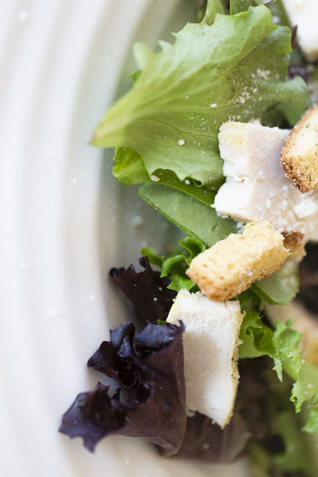 Close-up of fresh salad with chicken pieces and croutons