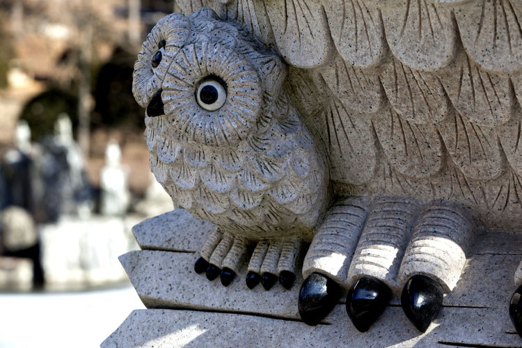 Close-up of statue