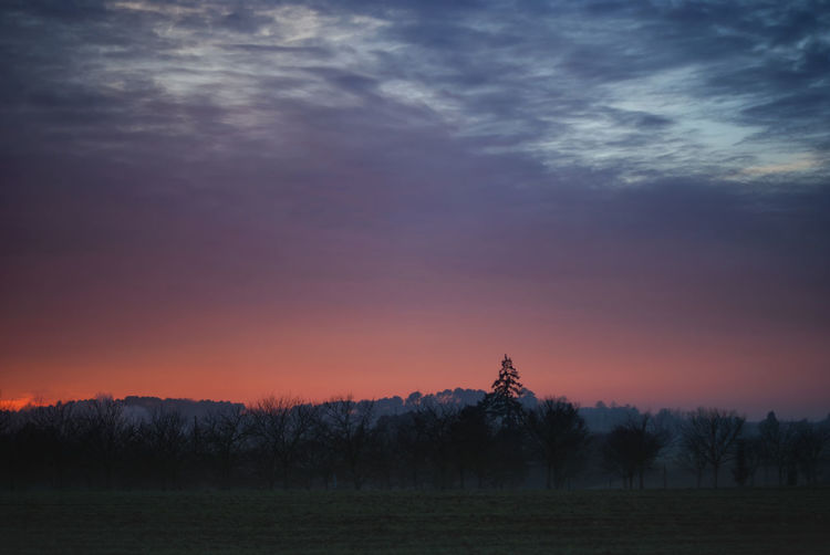Scenic view of trees against sky during sunset