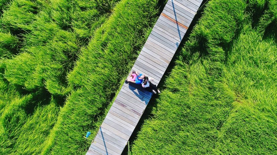 High angle view of people sitting on footbridge amidst grassy land