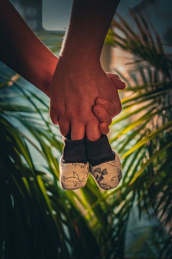 Low section of person wearing shoes on plant