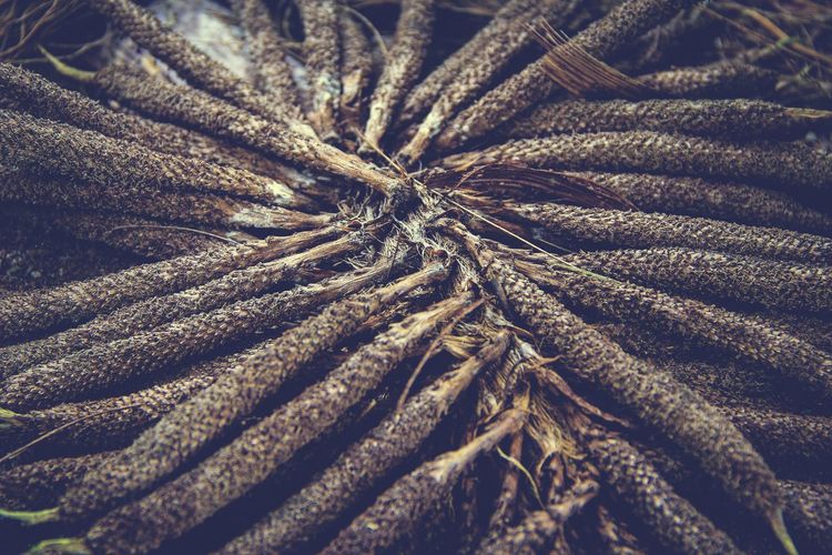 Detail shot of ropes