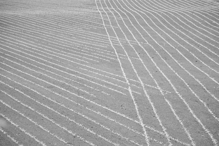 Full frame shot of sand on field