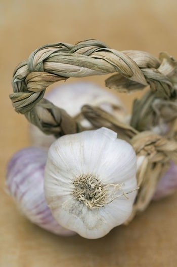 Close-up of garlic on white table