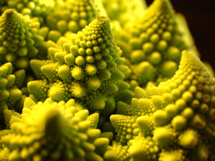 Close-up of romanesco cauliflower