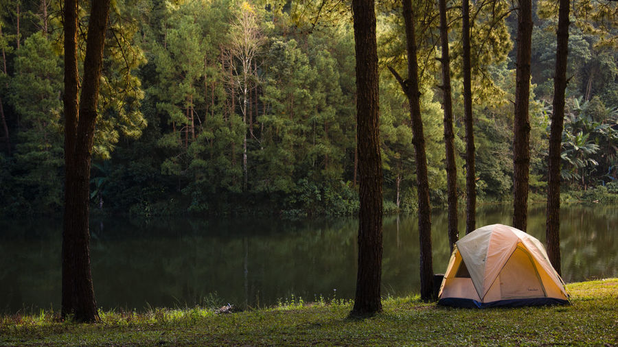Tent in forest by lake