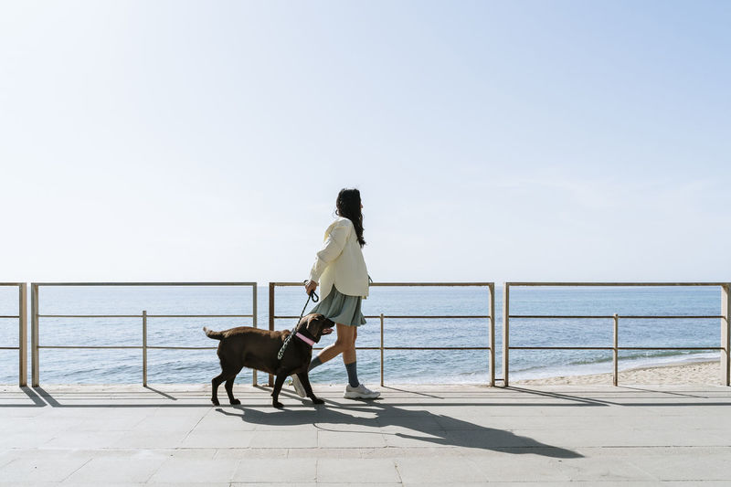 Mid adult woman walking with labrador dog by railing at beach during sunny day