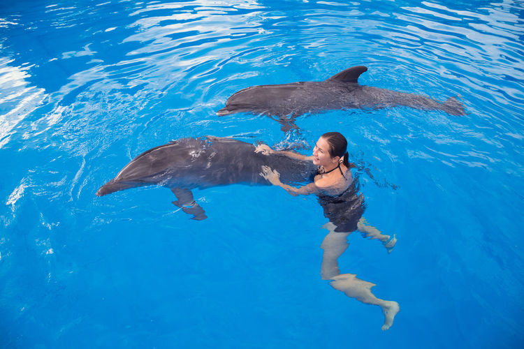 Happy beautiful young girl laughs and swims with dolphins in blue swimming pool on sunny day