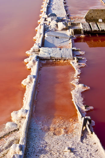 Close-up of frozen water on land