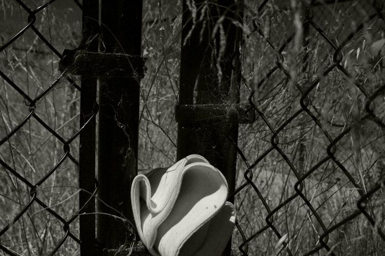Close-up of chainlink fence