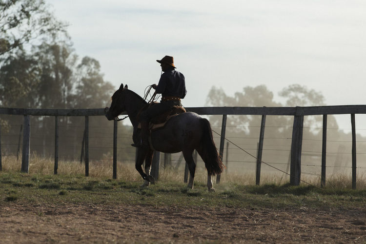 Man riding horse on grass against sky