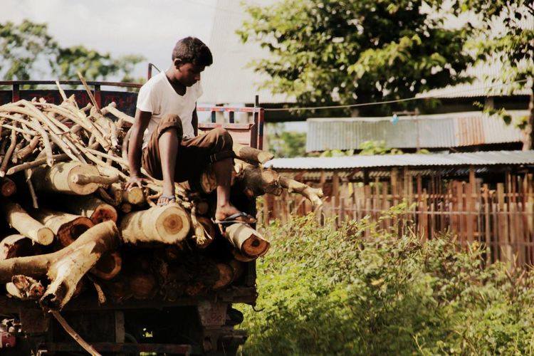 Full length of man sitting on logs in truck