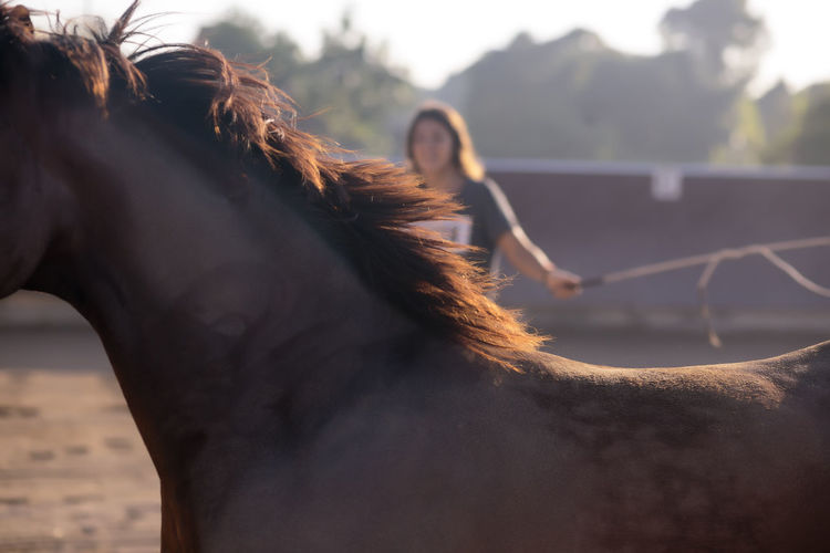 Close-up of horse with woman in background