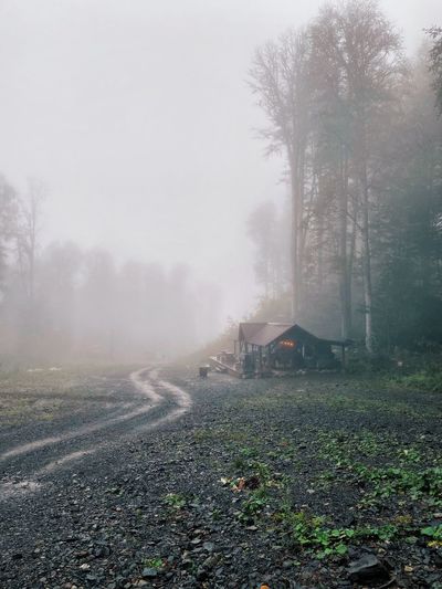 Into the unknown 