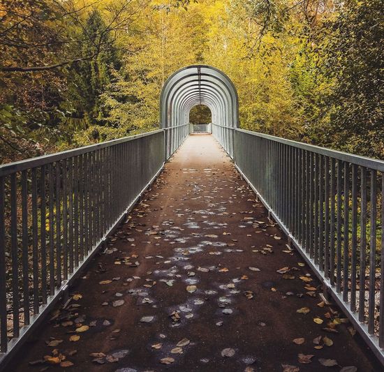 Footbridge in park during autumn