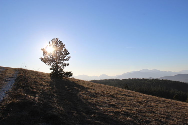 The beginning of the sunset in the mountains between colors and wild nature