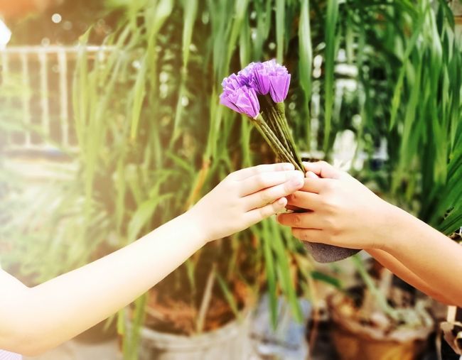 Human hand  giving flowers to girl, giving happiness more than receiving concept 