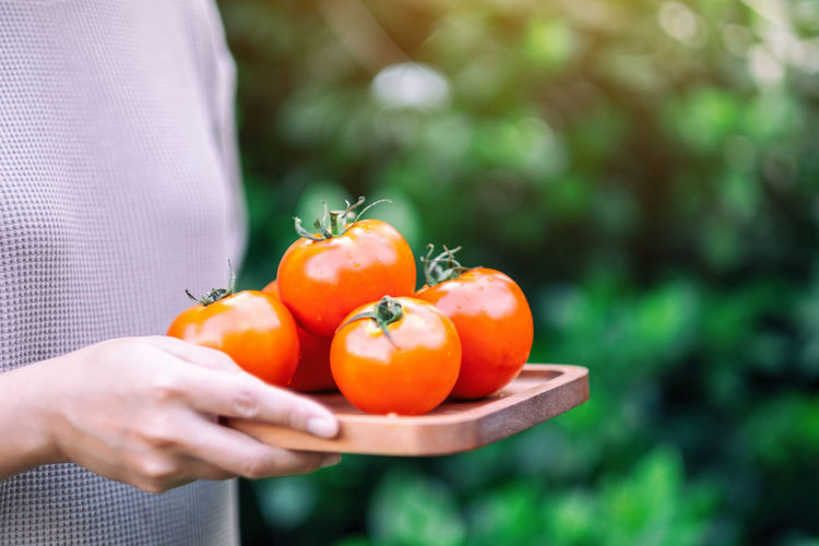 Close-up of hand holding tomato outdoors
