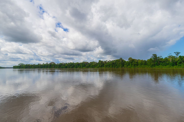 Brown water and green trees on the suriname river in south america near french guiana