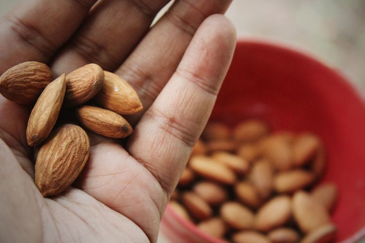 Cropped hand of person holding almonds